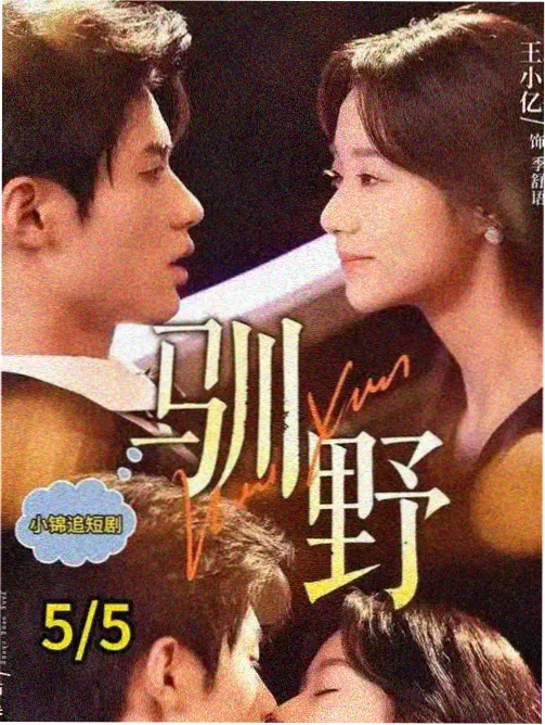 雾港解谜簿剧集海报